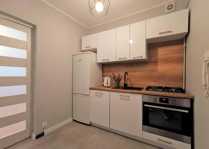 Euro24 Dab - Kamienny Potok