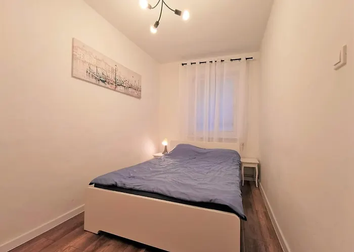 Euro24 Dab - Kamienny Potok