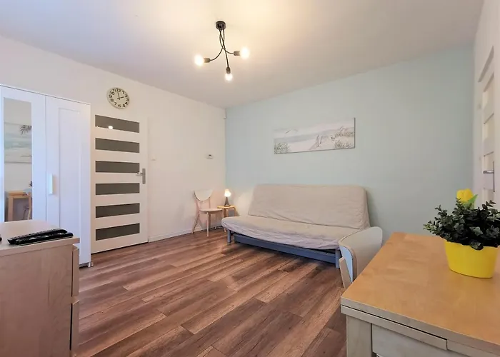 Euro24 Dab - Kamienny Potok