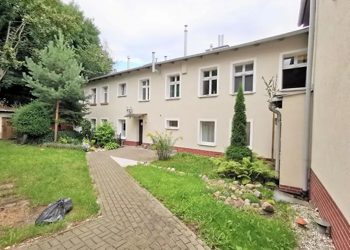 Euro24 Dab - Kamienny Potok Sopot